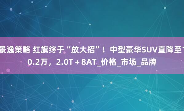 景逸策略 红旗终于“放大招”！中型豪华SUV直降至10.2万，2.0T＋8AT_价格_市场_品牌