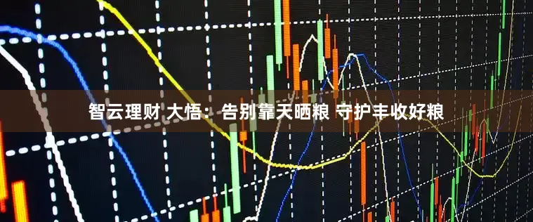 智云理财 大悟：告别靠天晒粮 守护丰收好粮