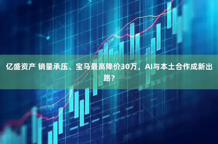 亿盛资产 销量承压、宝马最高降价30万，AI与本土合作成新出路？