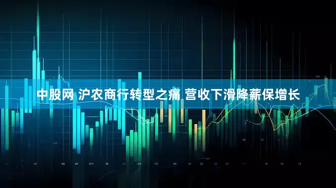 中股网 沪农商行转型之痛 营收下滑降薪保增长