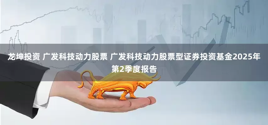龙坤投资 广发科技动力股票 广发科技动力股票型证券投资基金2025年第2季度报告