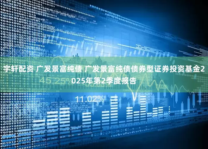 宇轩配资 广发景富纯债 广发景富纯债债券型证券投资基金2025年第2季度报告